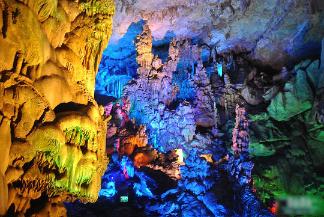 【文明实践】助力冰雪旅游 香坊区志愿者走进中国(哈尔滨)森林博物馆