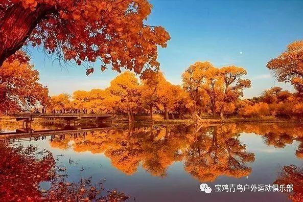 赛事篷房租赁选择时需要注意哪些方面
