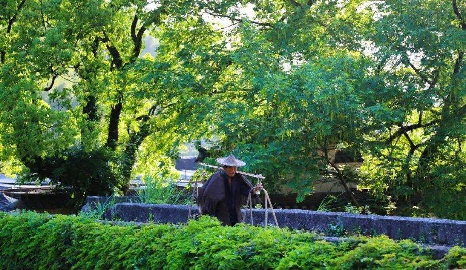 金牌保镖熊先生
