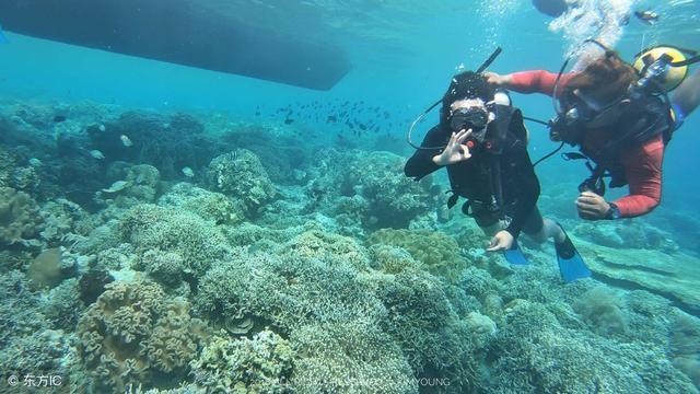 上海消防员劈波斩浪救落水男孩