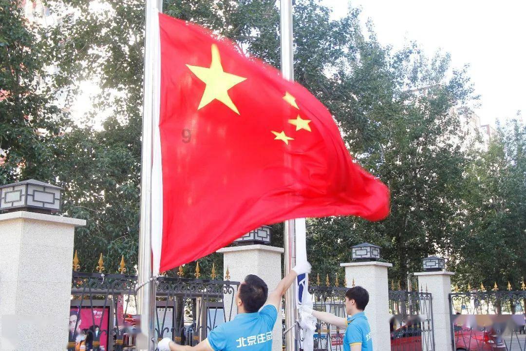 救援可爱小猪仔