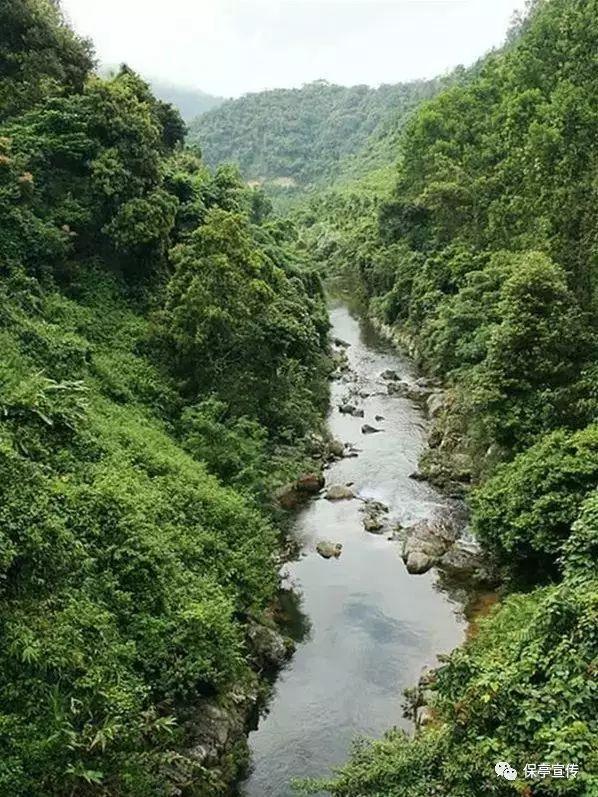 逃离洁白的宾馆
