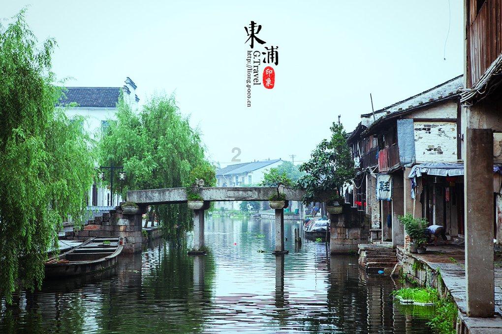 危险森林大逃脱